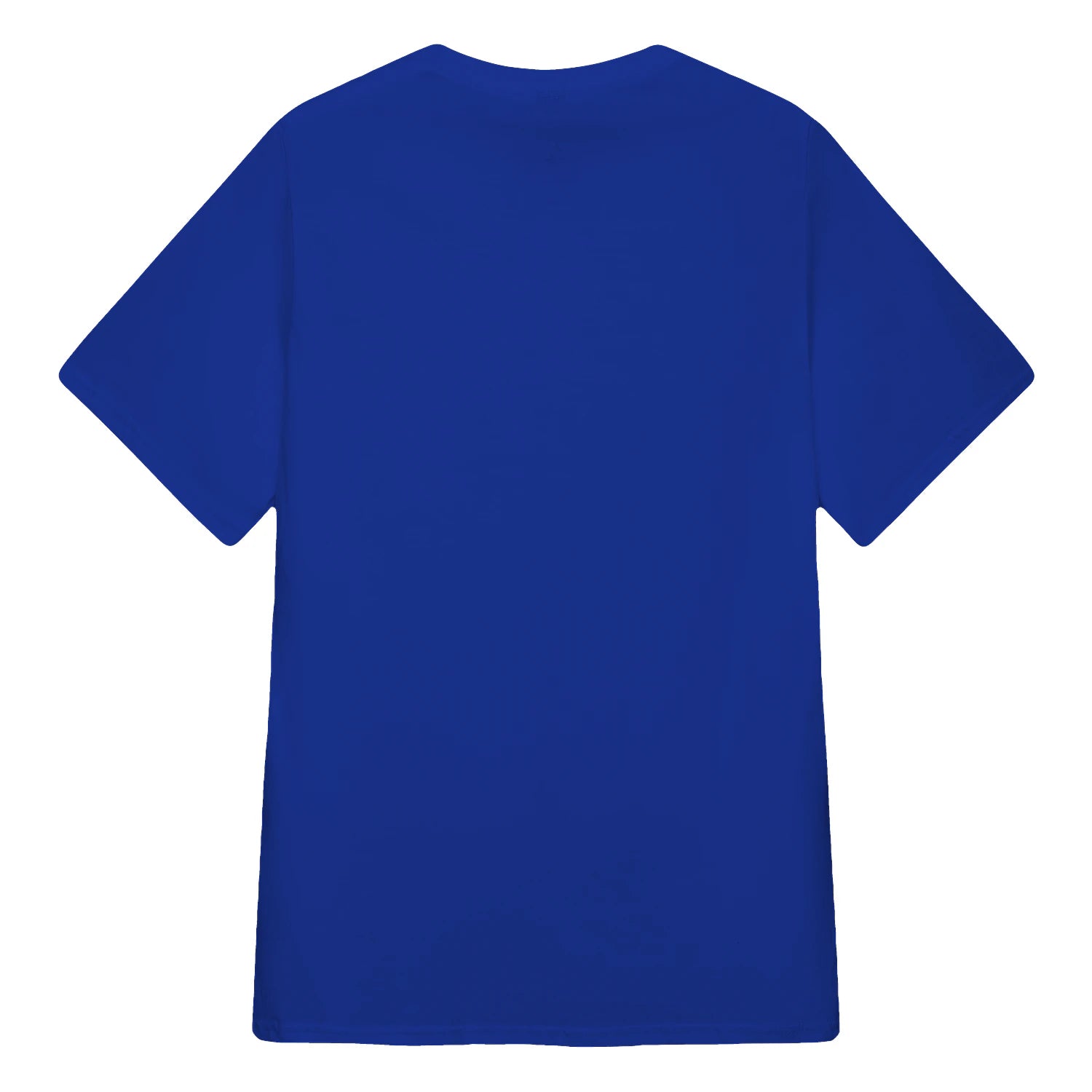 {"colors":["True Royal","True Royal","True Royal","True Royal","True Royal"],"sizes":["2XL","XL","L","M","S"],"isMainImage":false}